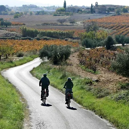 Rural Cal Ruget ホテル Vilobi Del Penedes