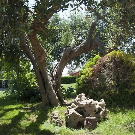 Rural Cal Ruget Vilobi Del Penedes